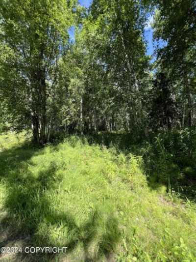 Residential Land For Sale in Wasilla, Alaska