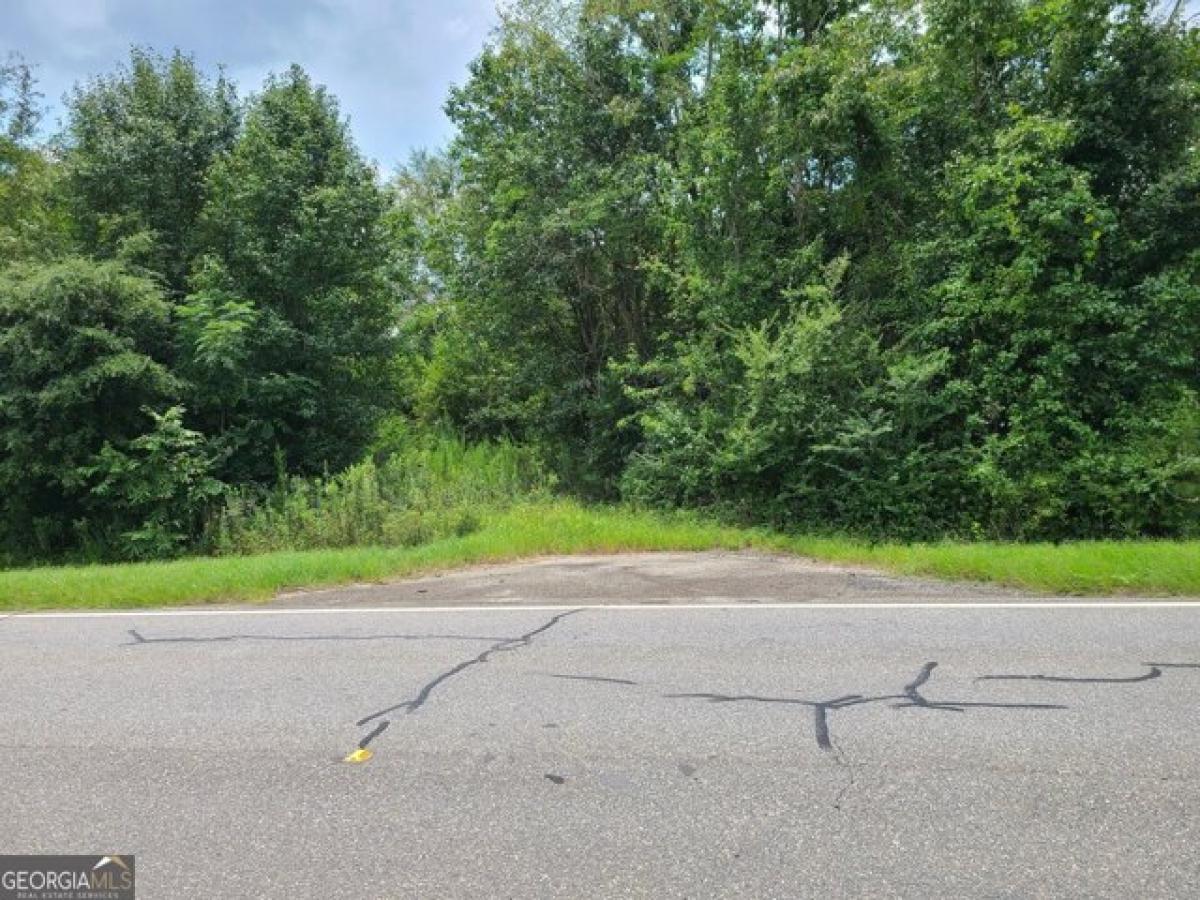 Picture of Residential Land For Sale in Elko, Georgia, United States