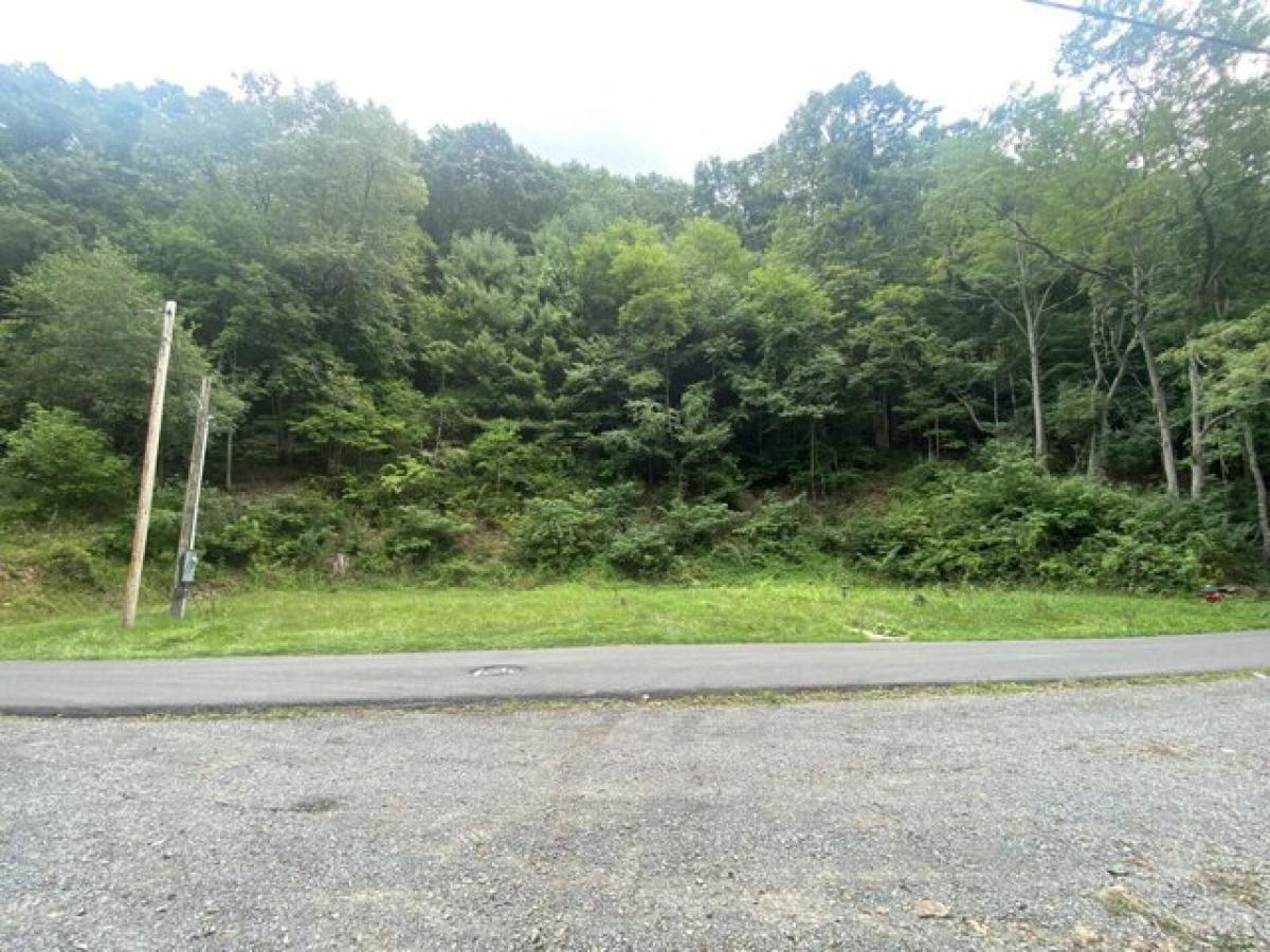 Picture of Residential Land For Sale in Marlinton, West Virginia, United States