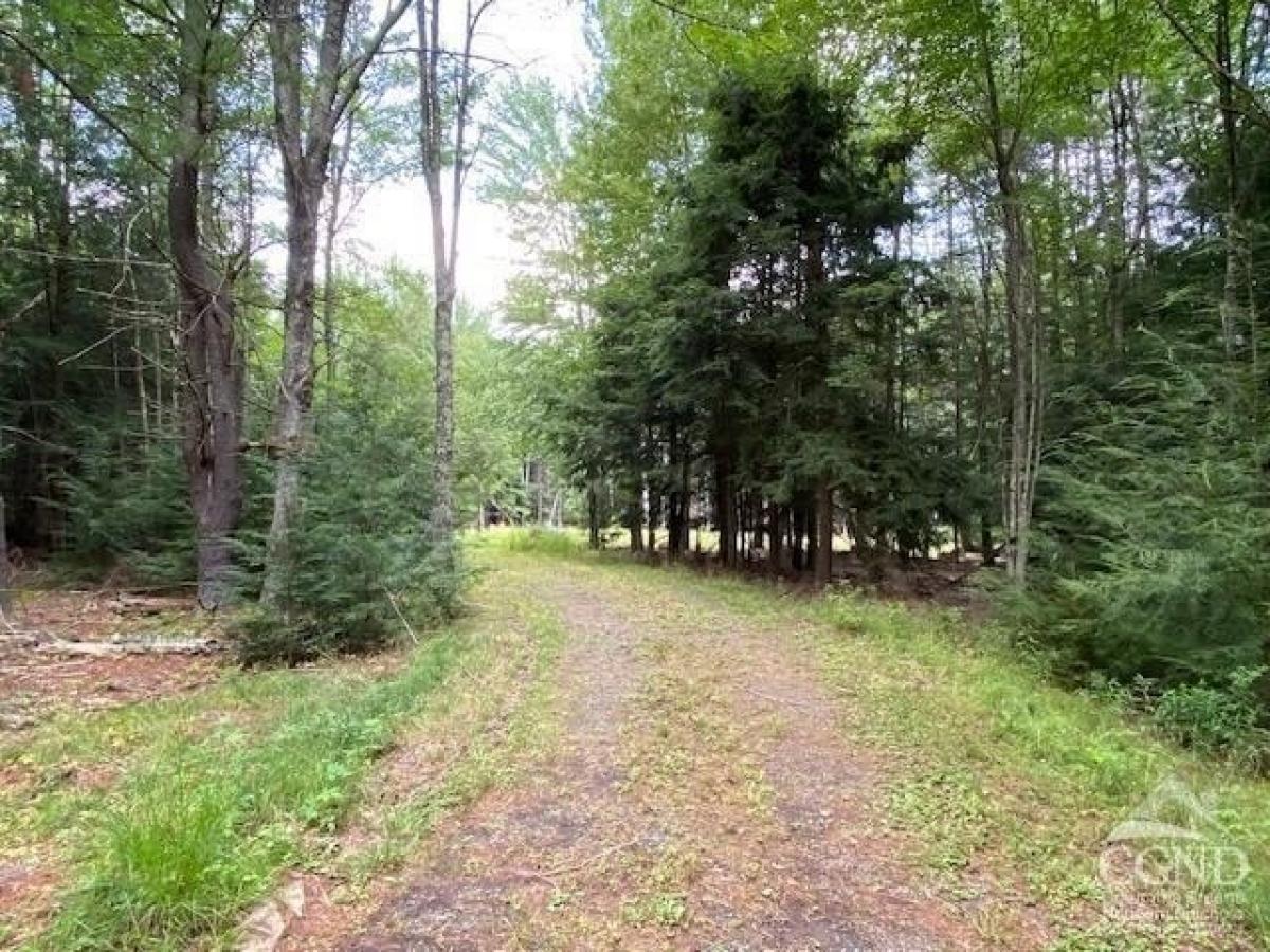 Picture of Residential Land For Sale in Windham, New York, United States