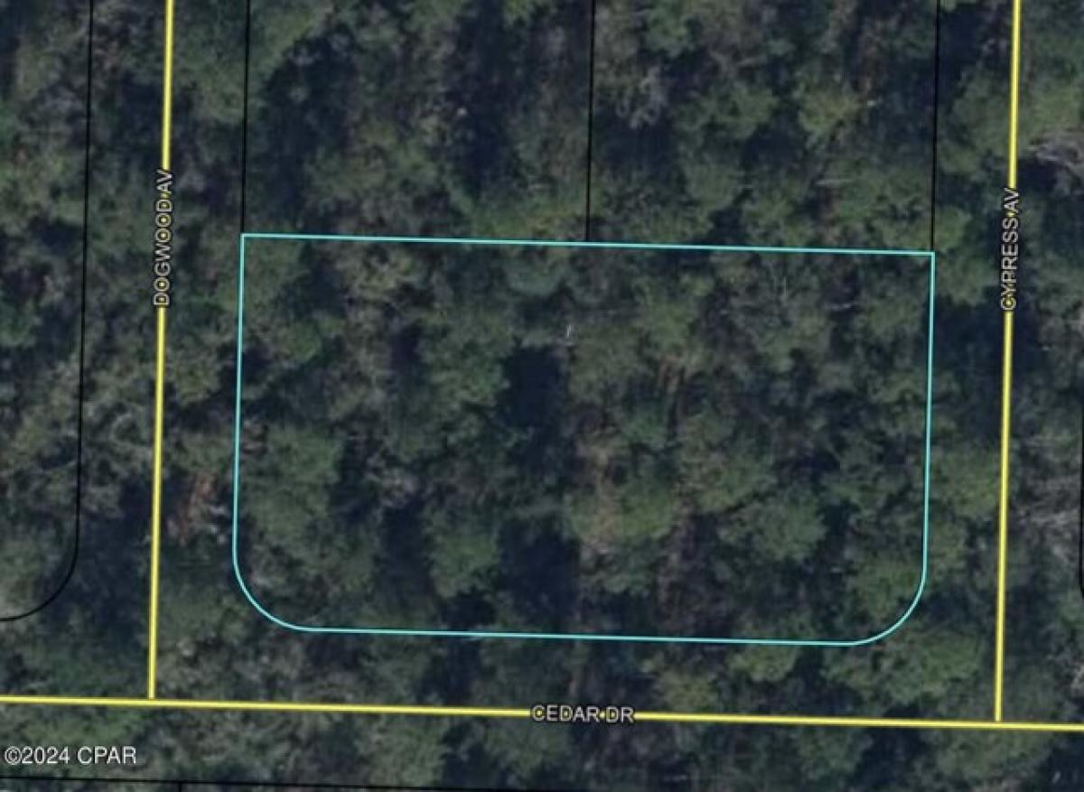 Picture of Residential Land For Sale in Vernon, Florida, United States