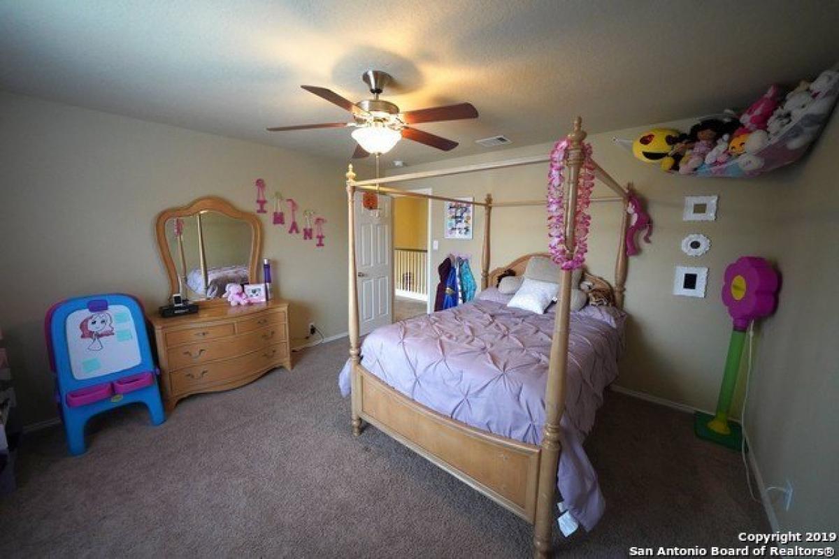 Picture of Home For Rent in Cibolo, Texas, United States