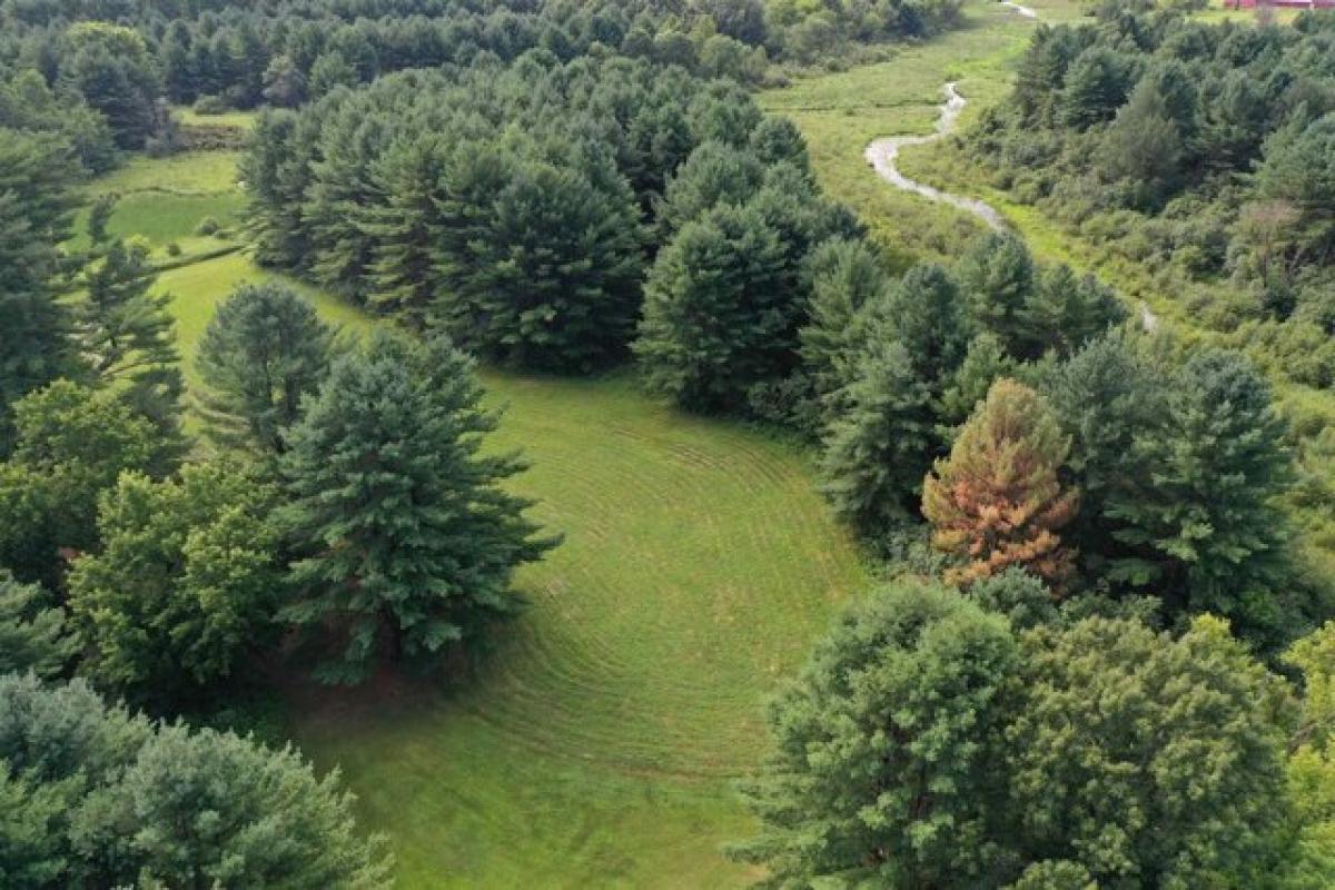 Picture of Residential Land For Sale in Neshkoro, Wisconsin, United States