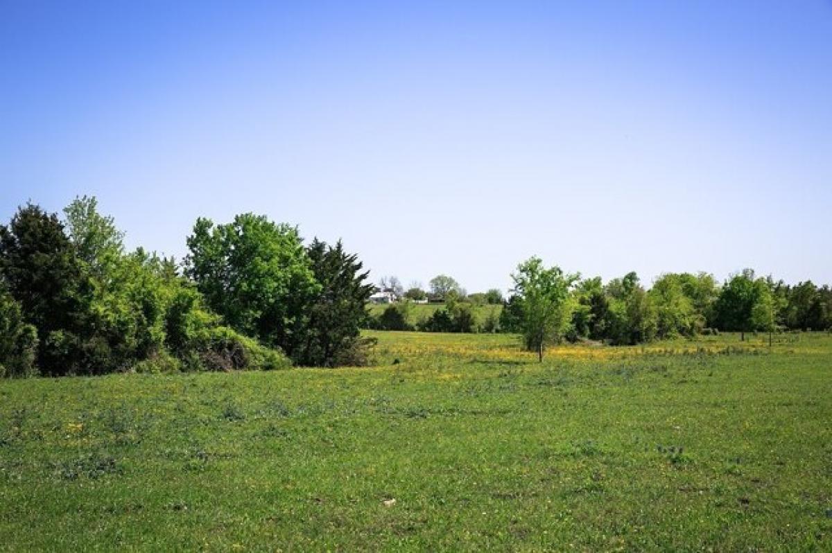 Picture of Residential Land For Sale in Chappell Hill, Texas, United States