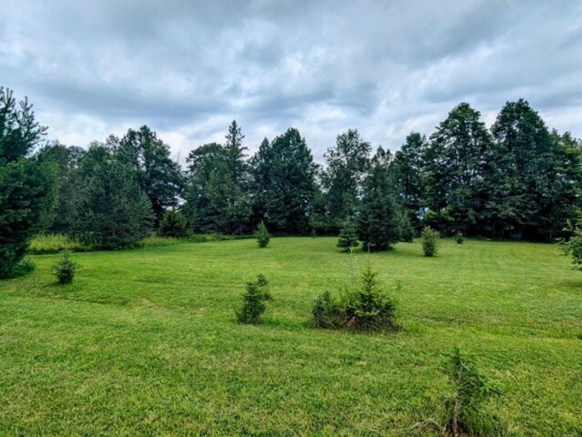 Picture of Home For Sale in Butternut, Wisconsin, United States