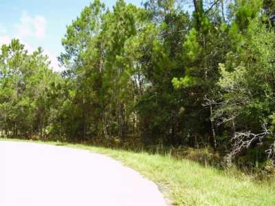 Residential Land For Sale in Poinciana, Florida