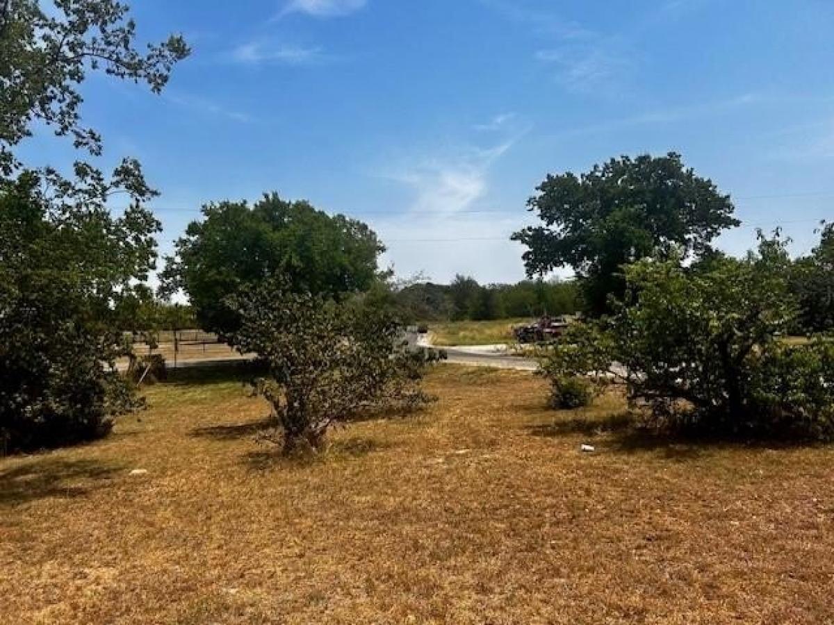 Picture of Residential Land For Sale in Bridgeport, Texas, United States