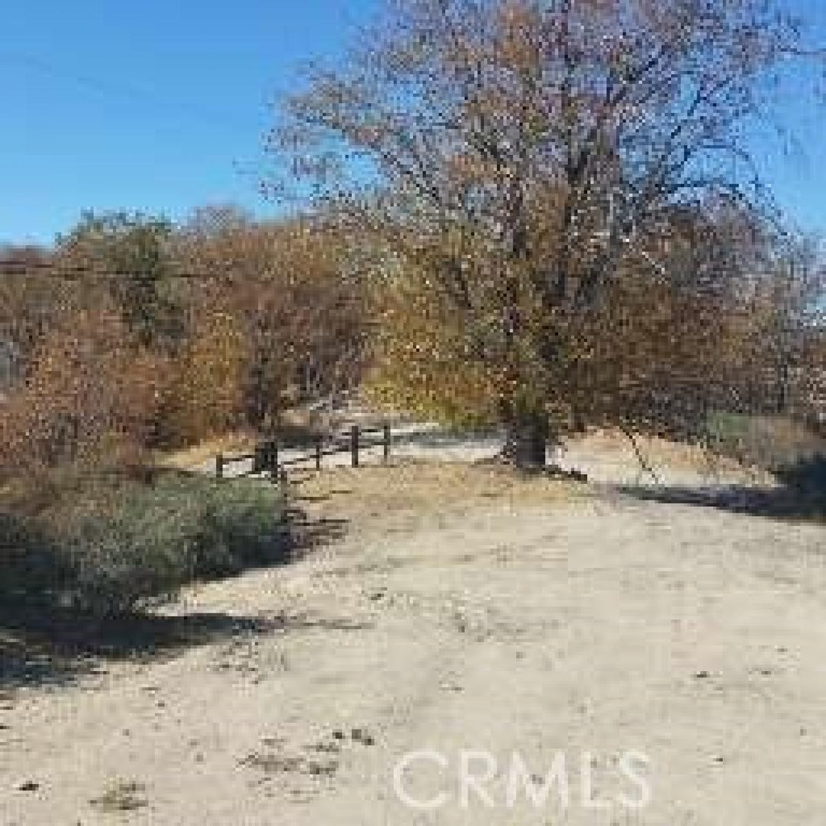 Picture of Residential Land For Sale in Cedar Glen, California, United States