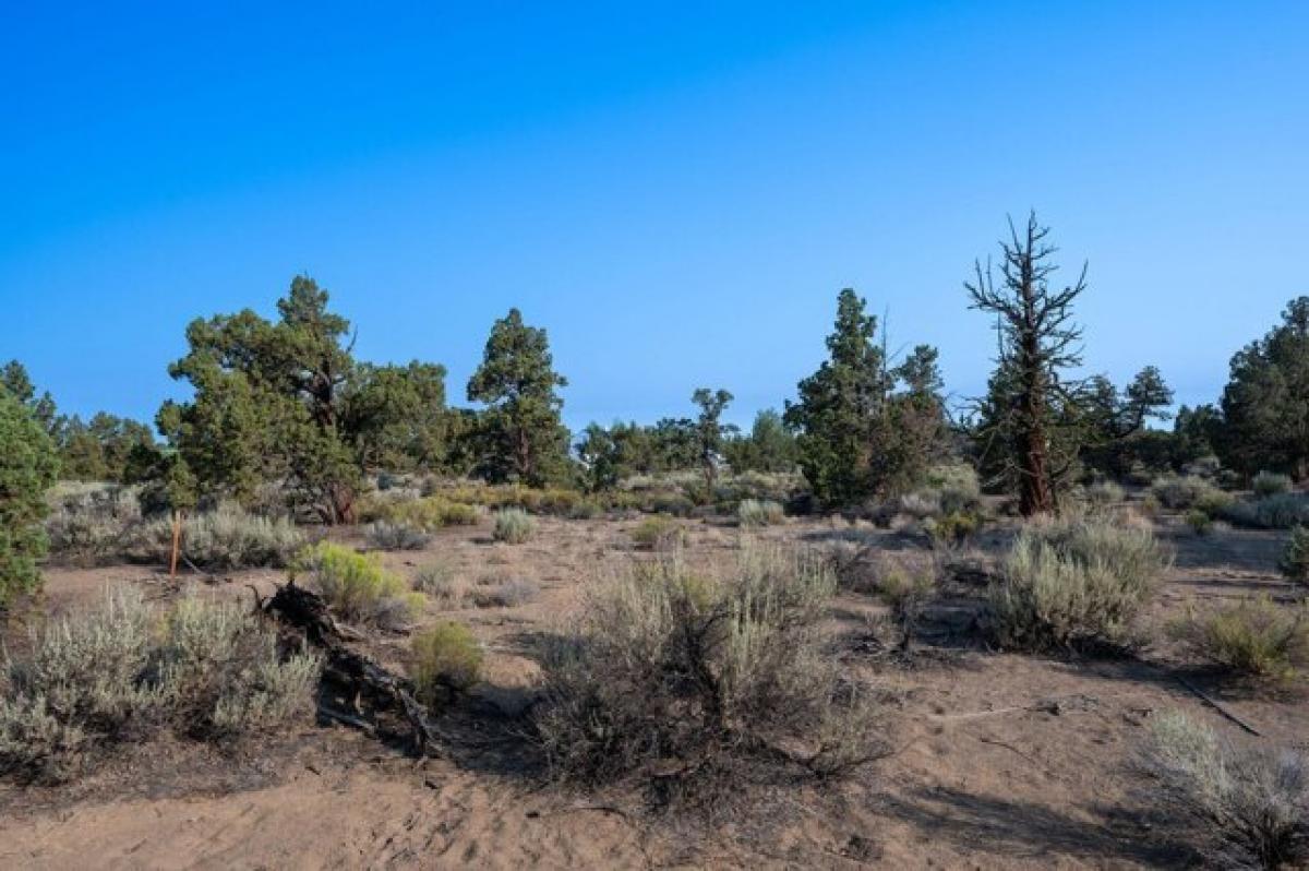 Picture of Residential Land For Sale in Bend, Oregon, United States