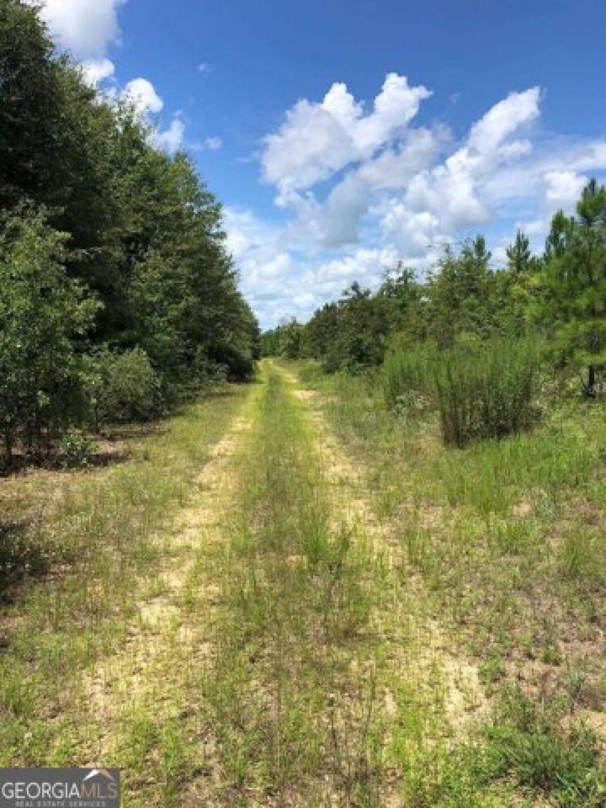 Picture of Residential Land For Sale in East Dublin, Georgia, United States