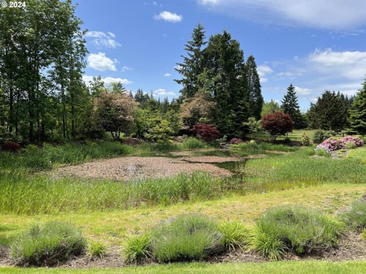 Picture of Home For Sale in La Center, Washington, United States