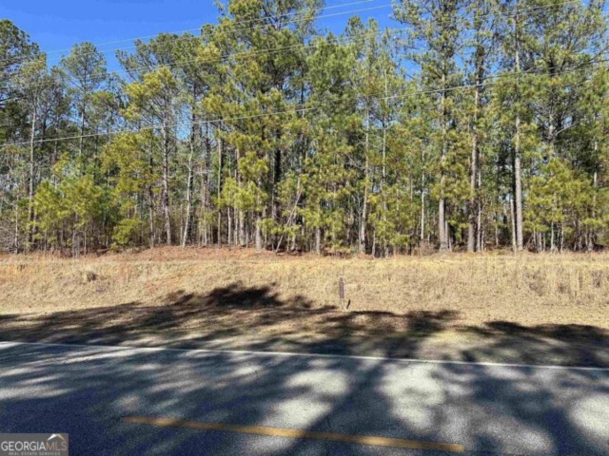 Picture of Residential Land For Sale in Juliette, Georgia, United States