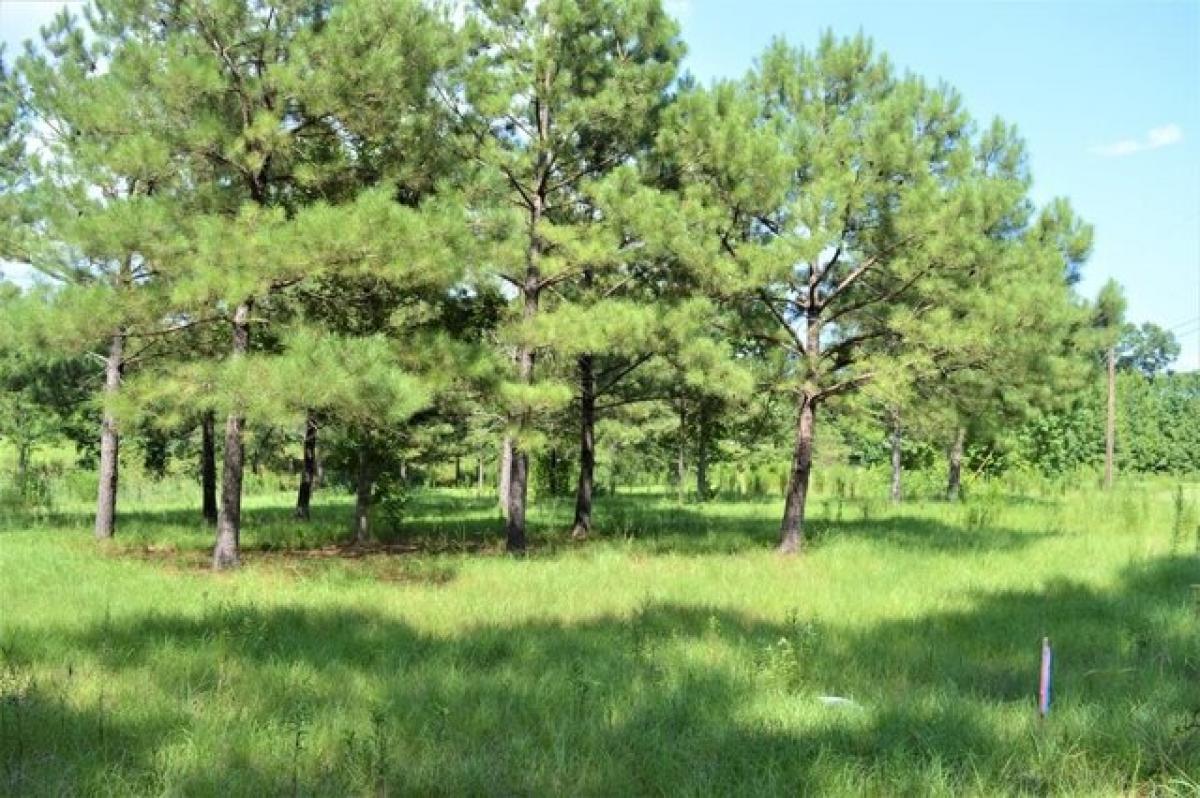 Picture of Residential Land For Sale in McComb, Mississippi, United States