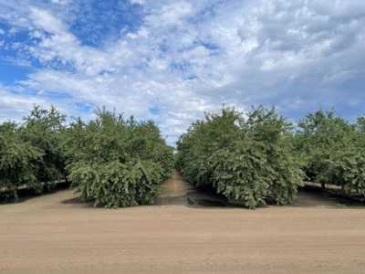 Residential Land For Sale in Chowchilla, California