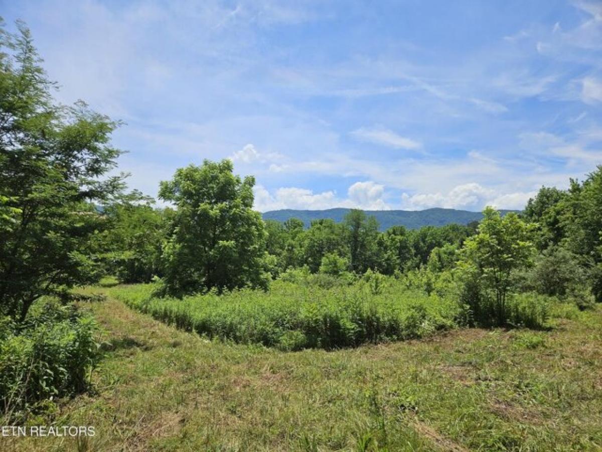 Picture of Residential Land For Sale in Maryville, Tennessee, United States