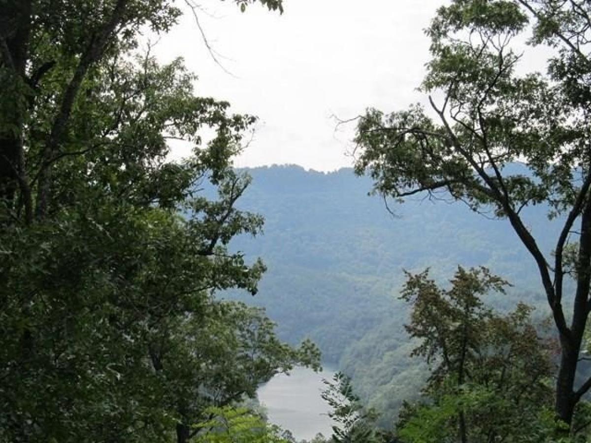 Picture of Residential Land For Sale in Bryson City, North Carolina, United States