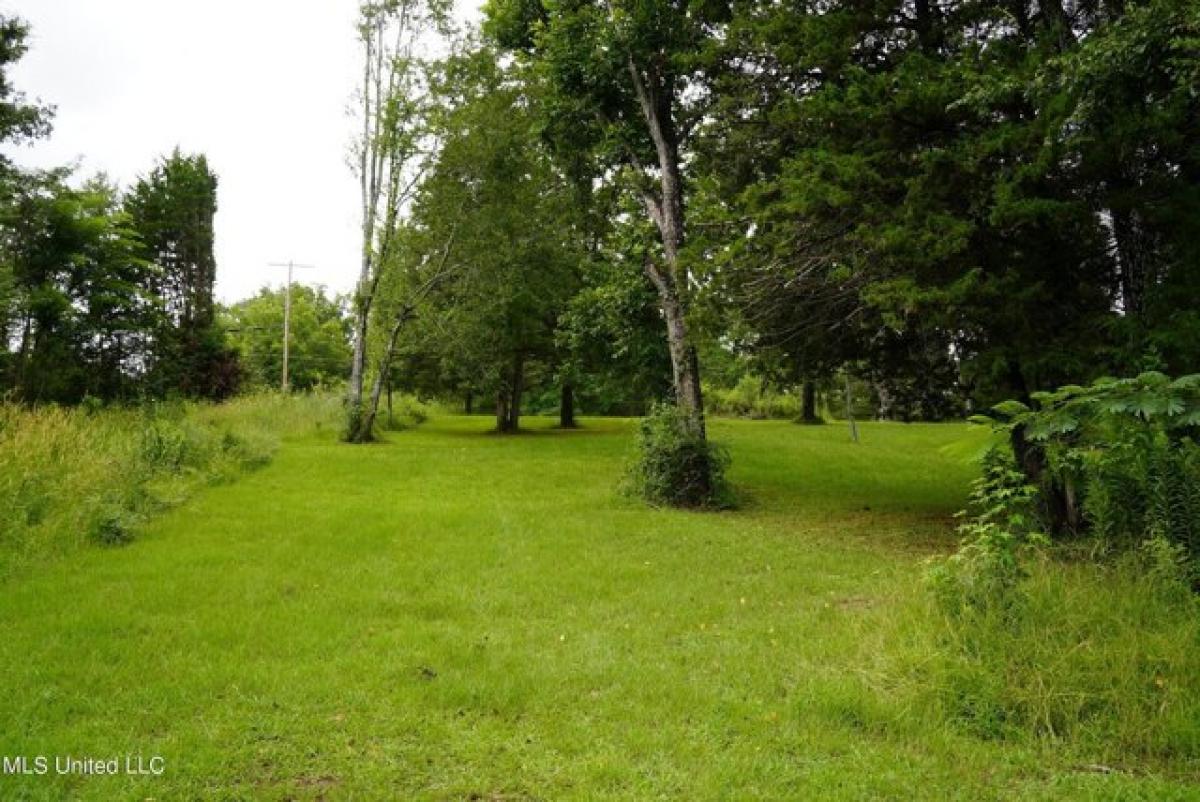 Picture of Residential Land For Sale in Raymond, Mississippi, United States