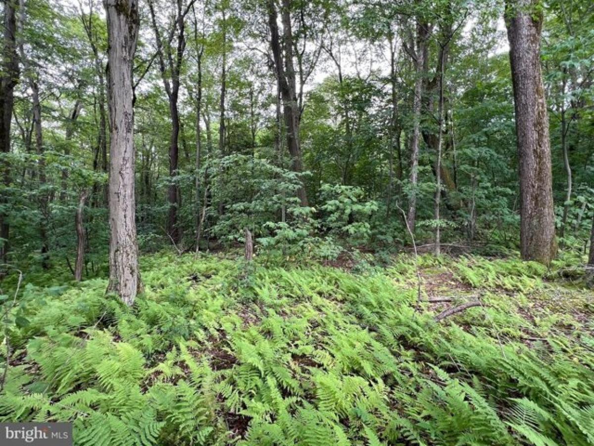 Picture of Residential Land For Sale in Claysburg, Pennsylvania, United States