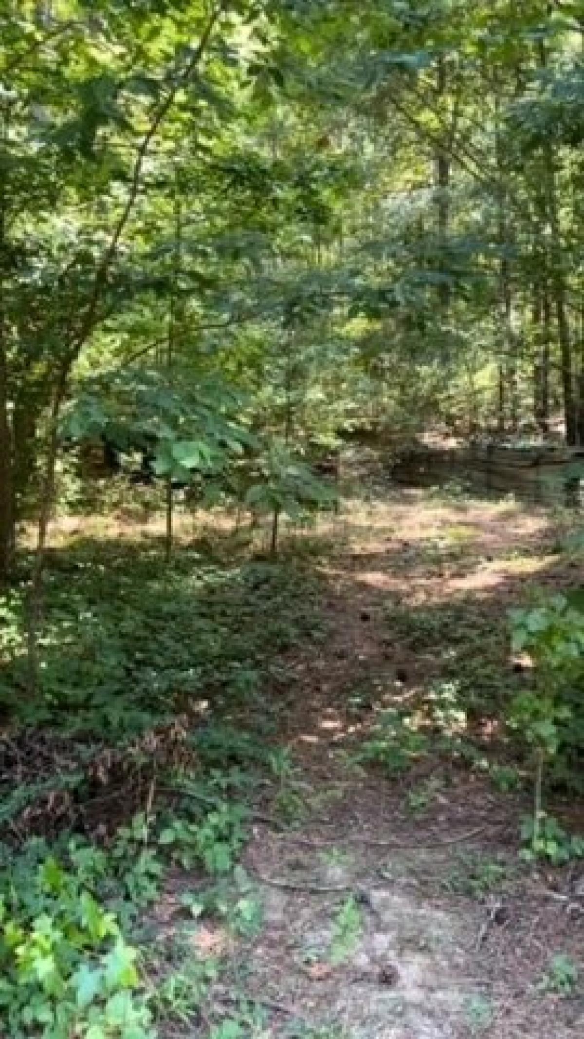 Picture of Residential Land For Sale in Covington, Georgia, United States