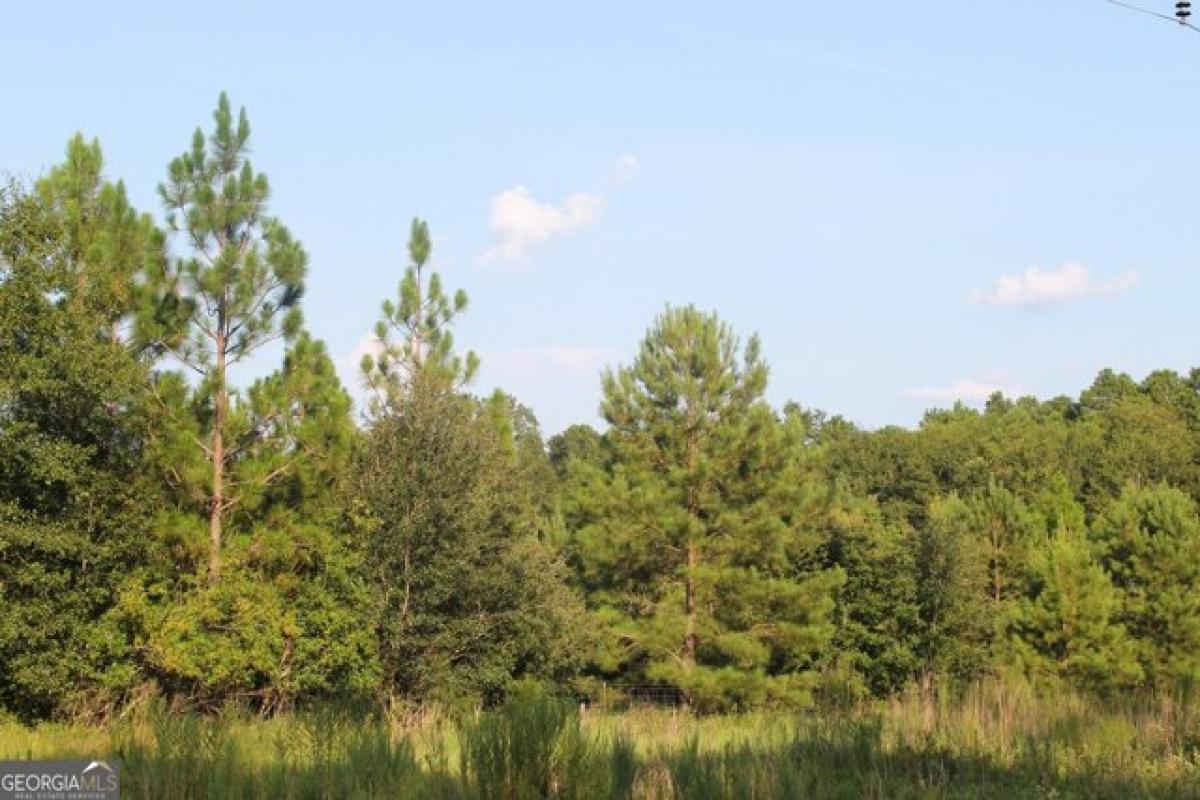 Picture of Residential Land For Sale in Garfield, Georgia, United States