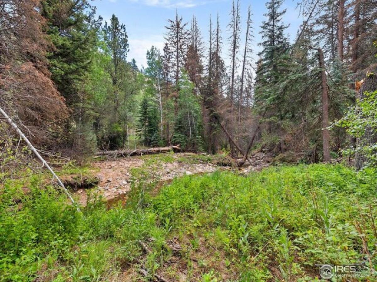 Picture of Residential Land For Sale in Glen Haven, Colorado, United States