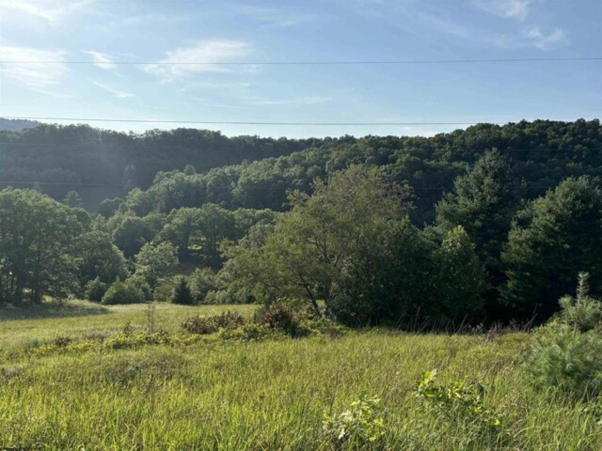 Picture of Residential Land For Sale in Montrose, West Virginia, United States