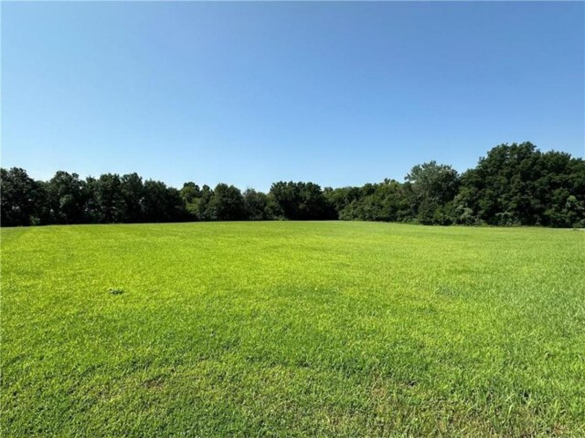 Picture of Residential Land For Sale in Richmond, Missouri, United States