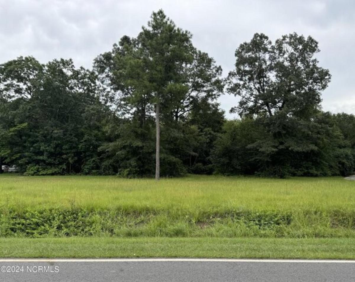 Picture of Residential Land For Sale in Seven Springs, North Carolina, United States