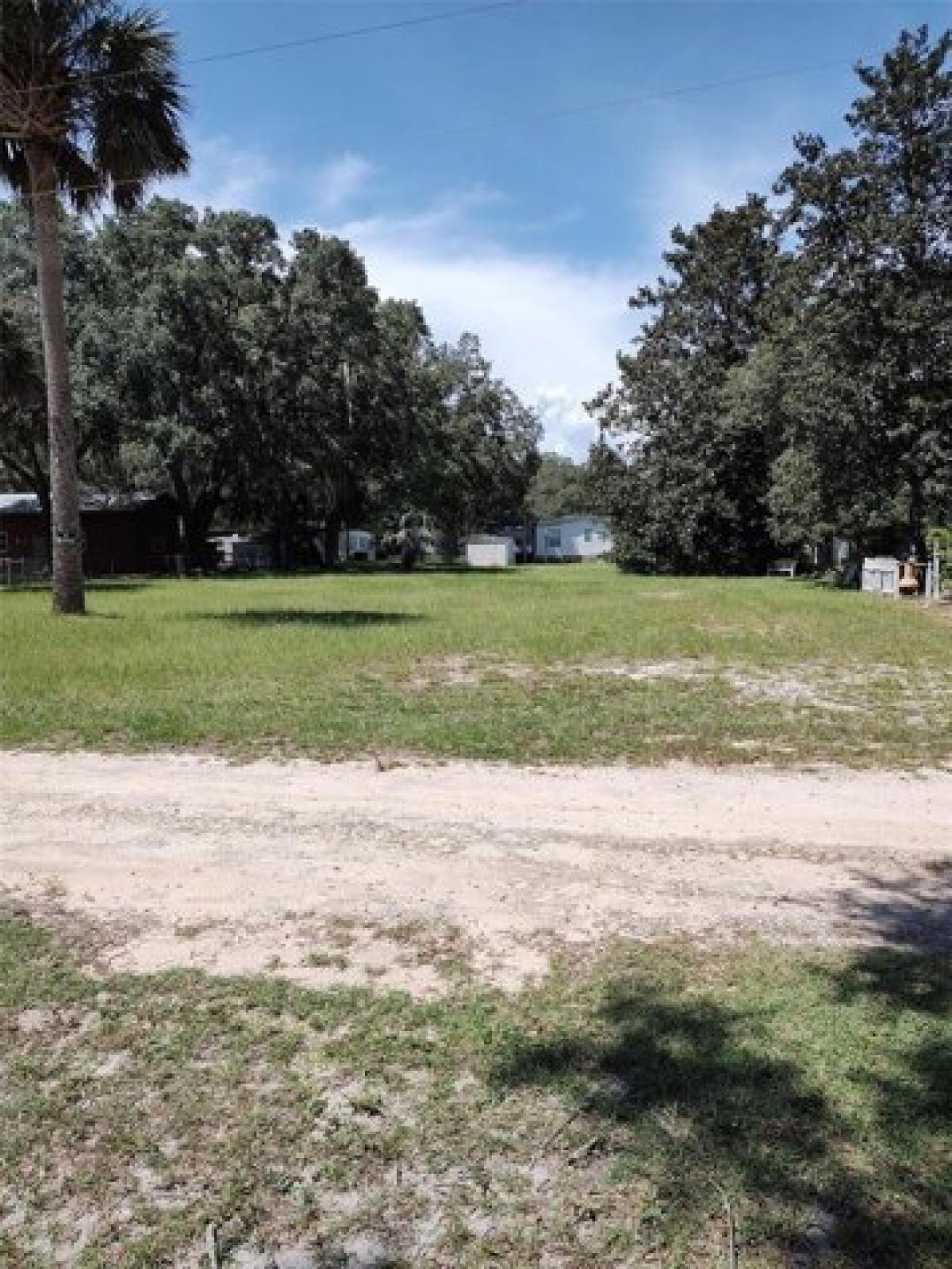 Picture of Residential Land For Sale in Fort Mccoy, Florida, United States