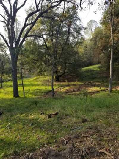 Residential Land For Sale in Oakhurst, California