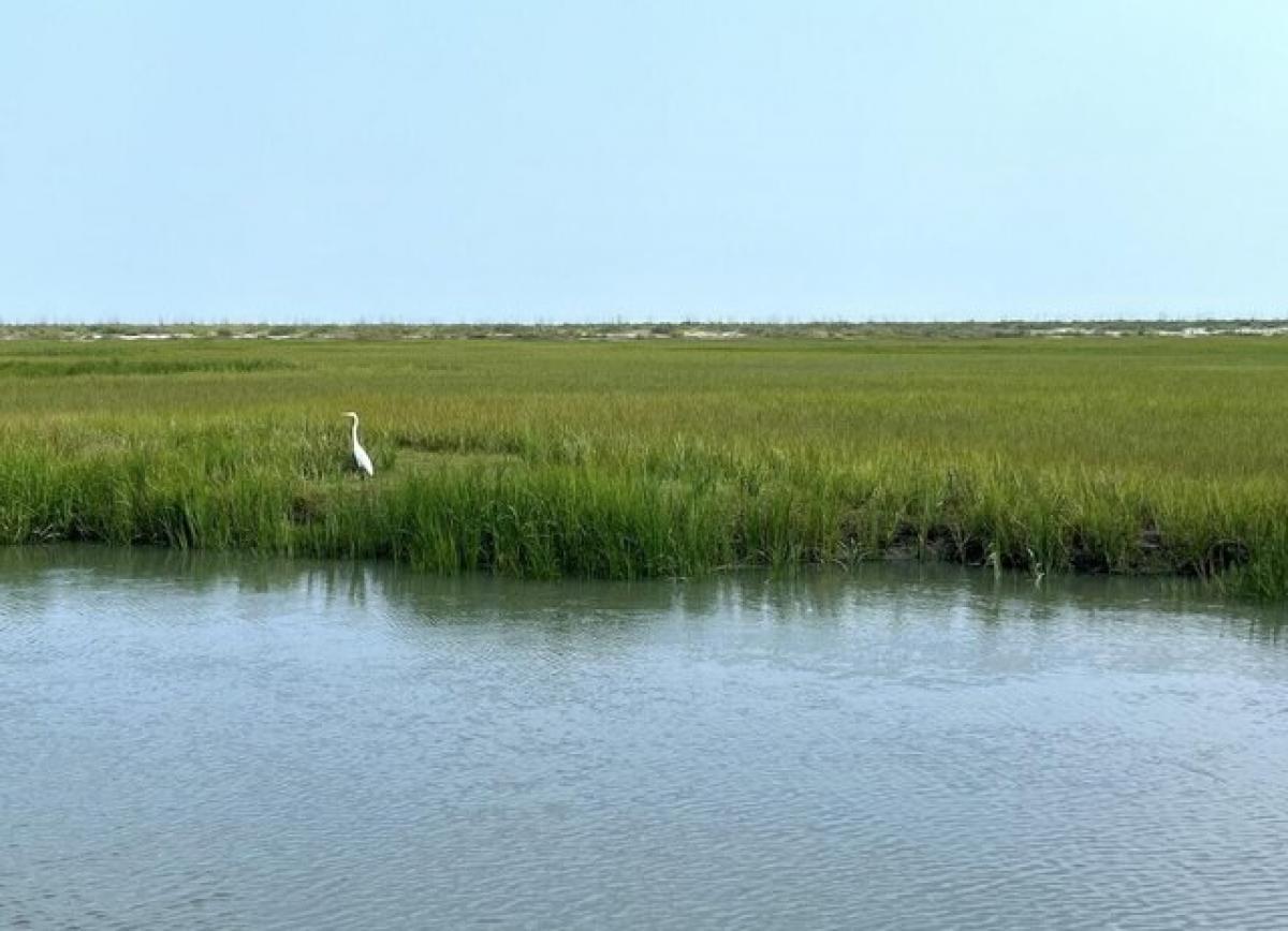 Picture of Residential Land For Sale in Edisto Island, South Carolina, United States