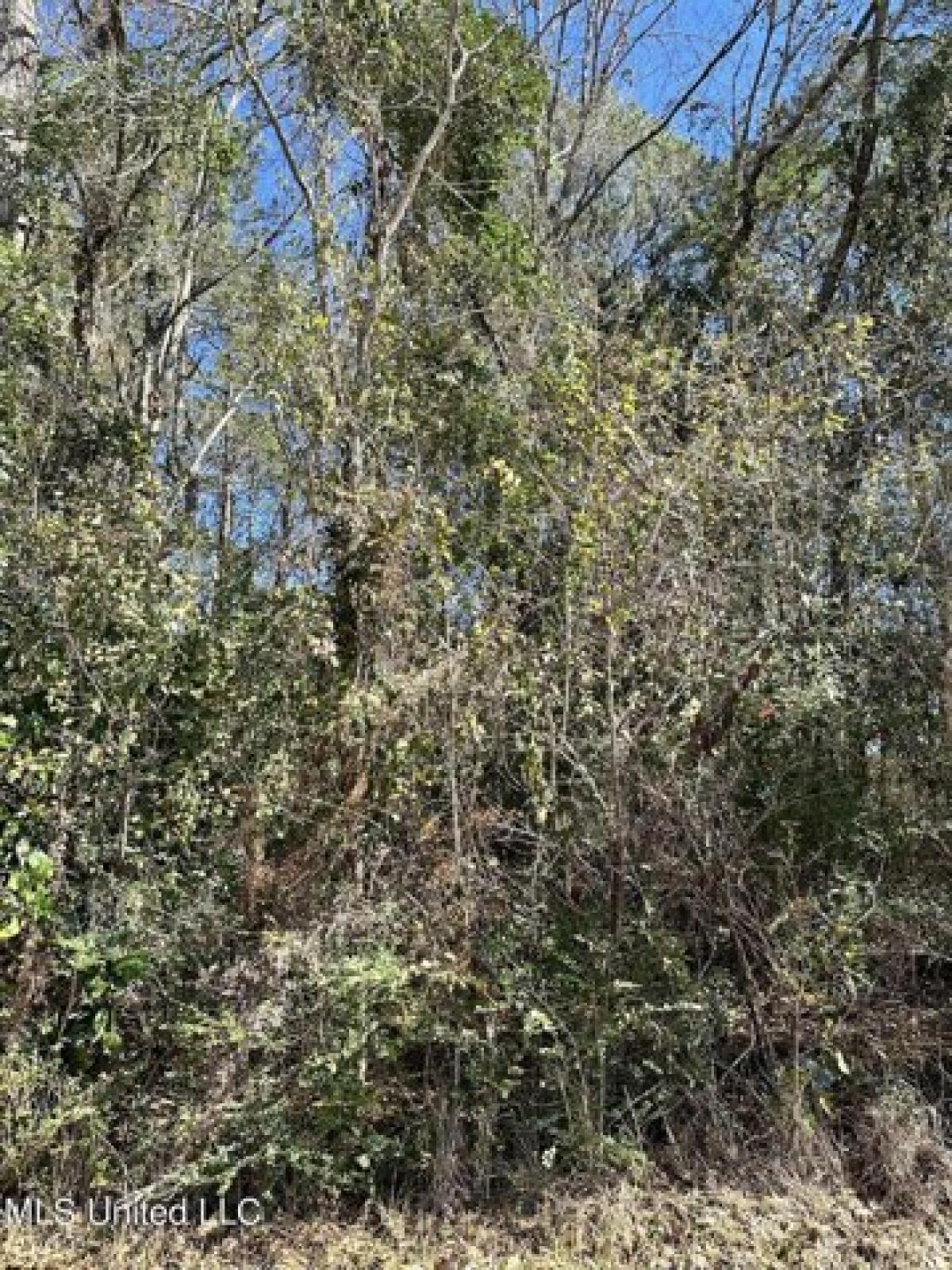 Picture of Residential Land For Sale in Ocean Springs, Mississippi, United States