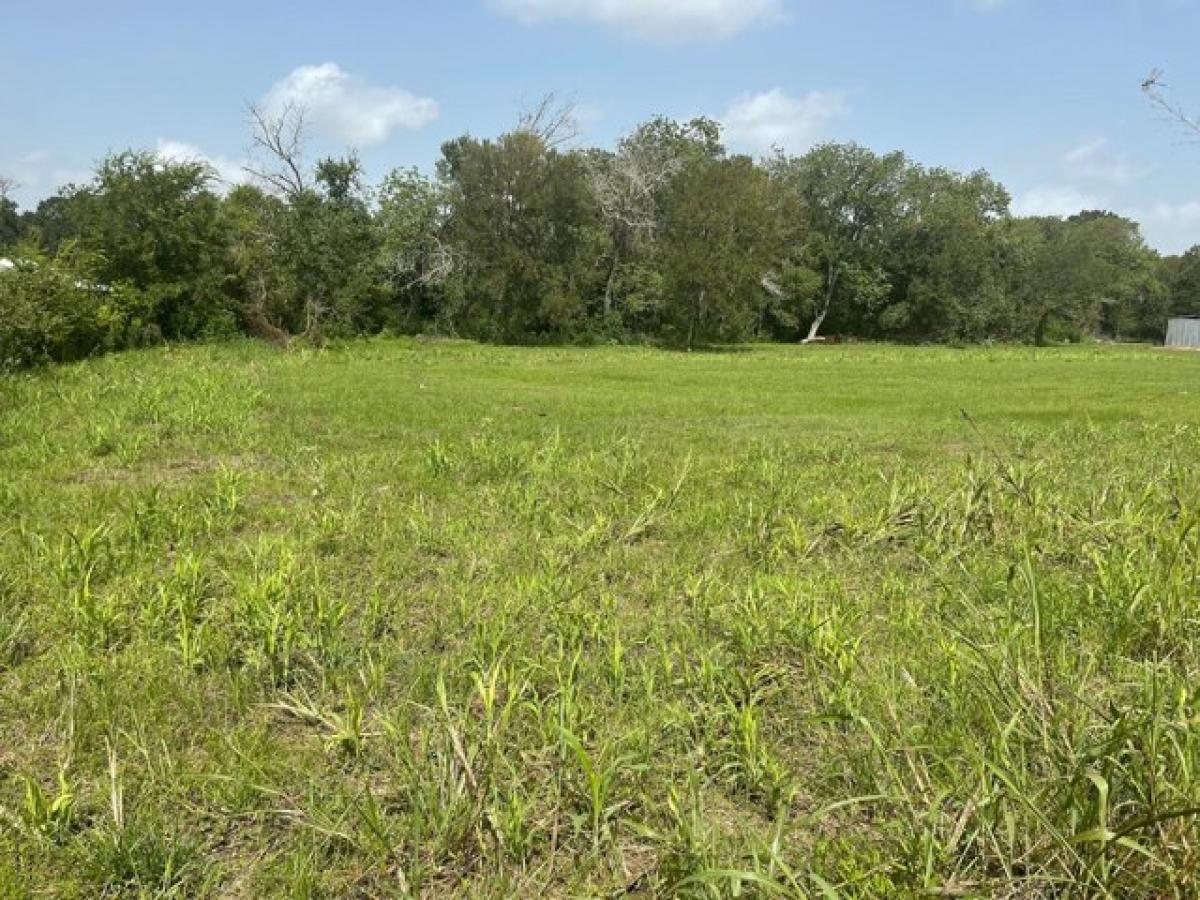 Picture of Residential Land For Sale in Plantersville, Texas, United States