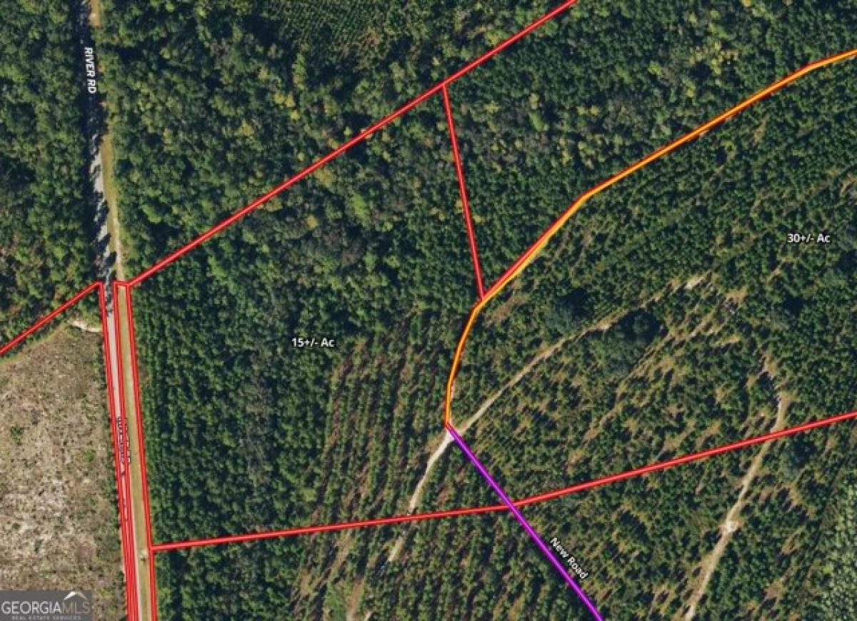 Picture of Residential Land For Sale in Folkston, Georgia, United States