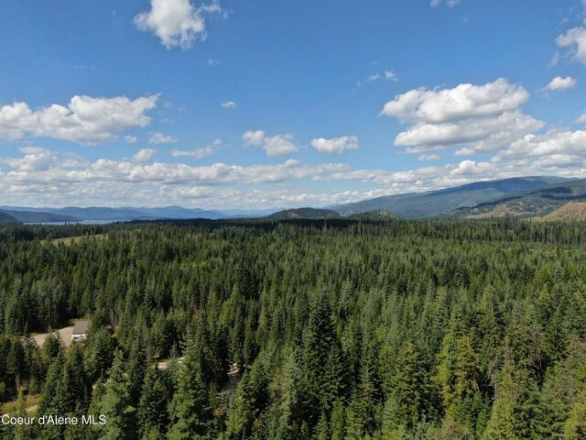 Picture of Residential Land For Sale in Priest River, Idaho, United States