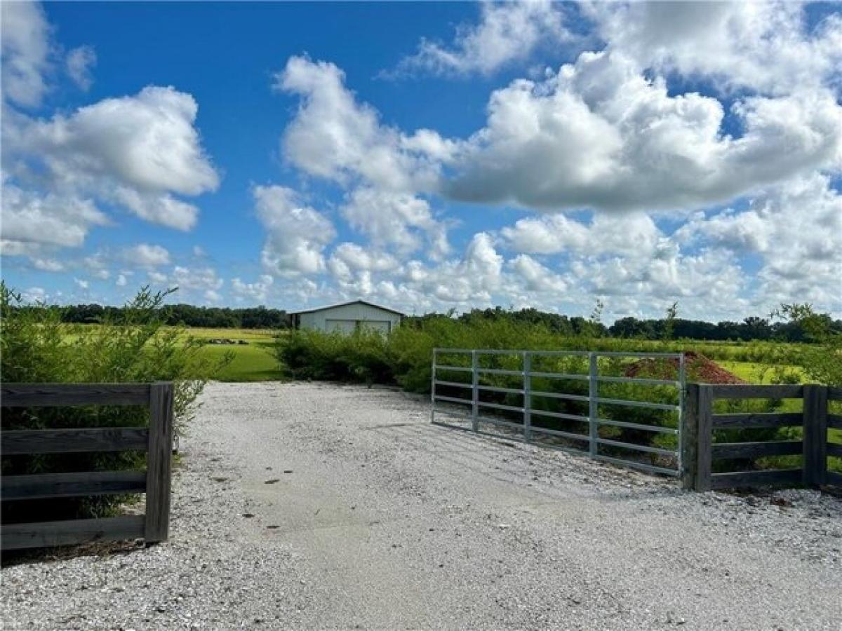 Picture of Residential Land For Sale in Zolfo Springs, Florida, United States