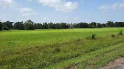 Residential Land For Sale in Deridder, Louisiana