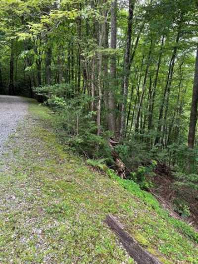 Residential Land For Sale in Topton, North Carolina