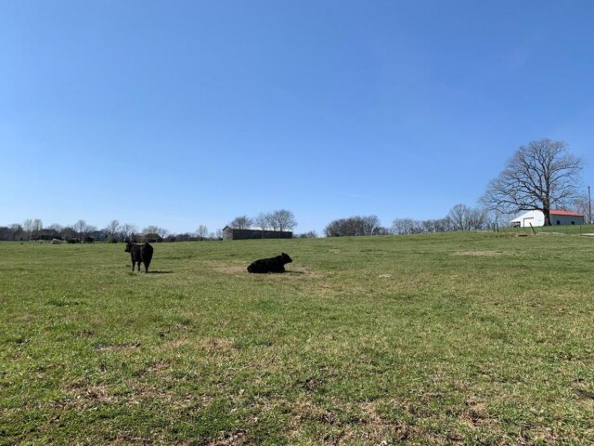 Picture of Residential Land For Sale in Thompsons Station, Tennessee, United States