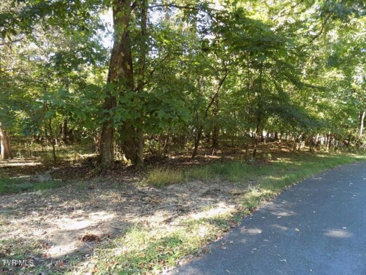 Picture of Residential Land For Sale in Church Hill, Tennessee, United States