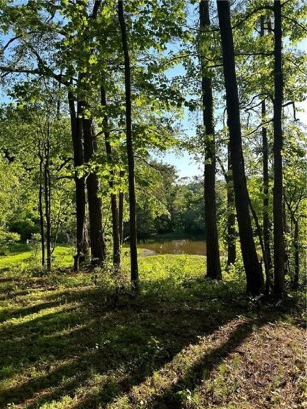 Picture of Residential Land For Sale in Canton, Georgia, United States