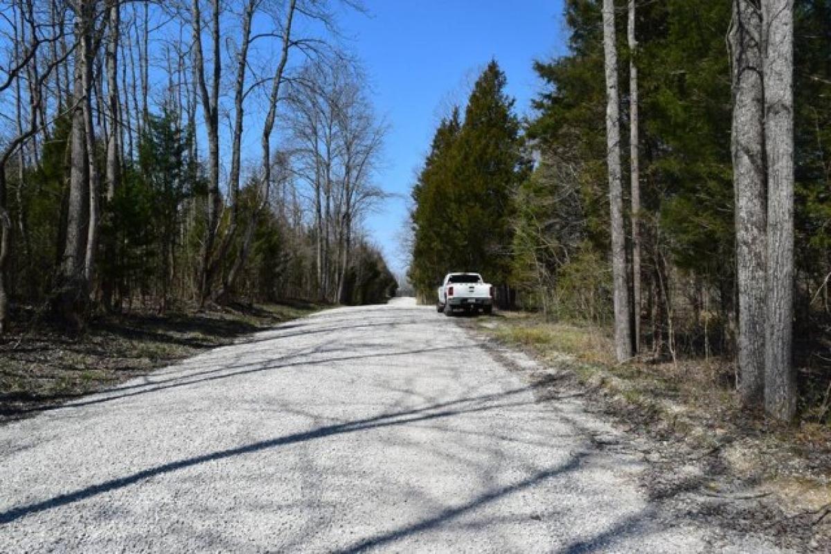 Picture of Residential Land For Sale in English, Indiana, United States