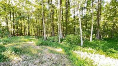 Residential Land For Sale in Brownsville, Tennessee