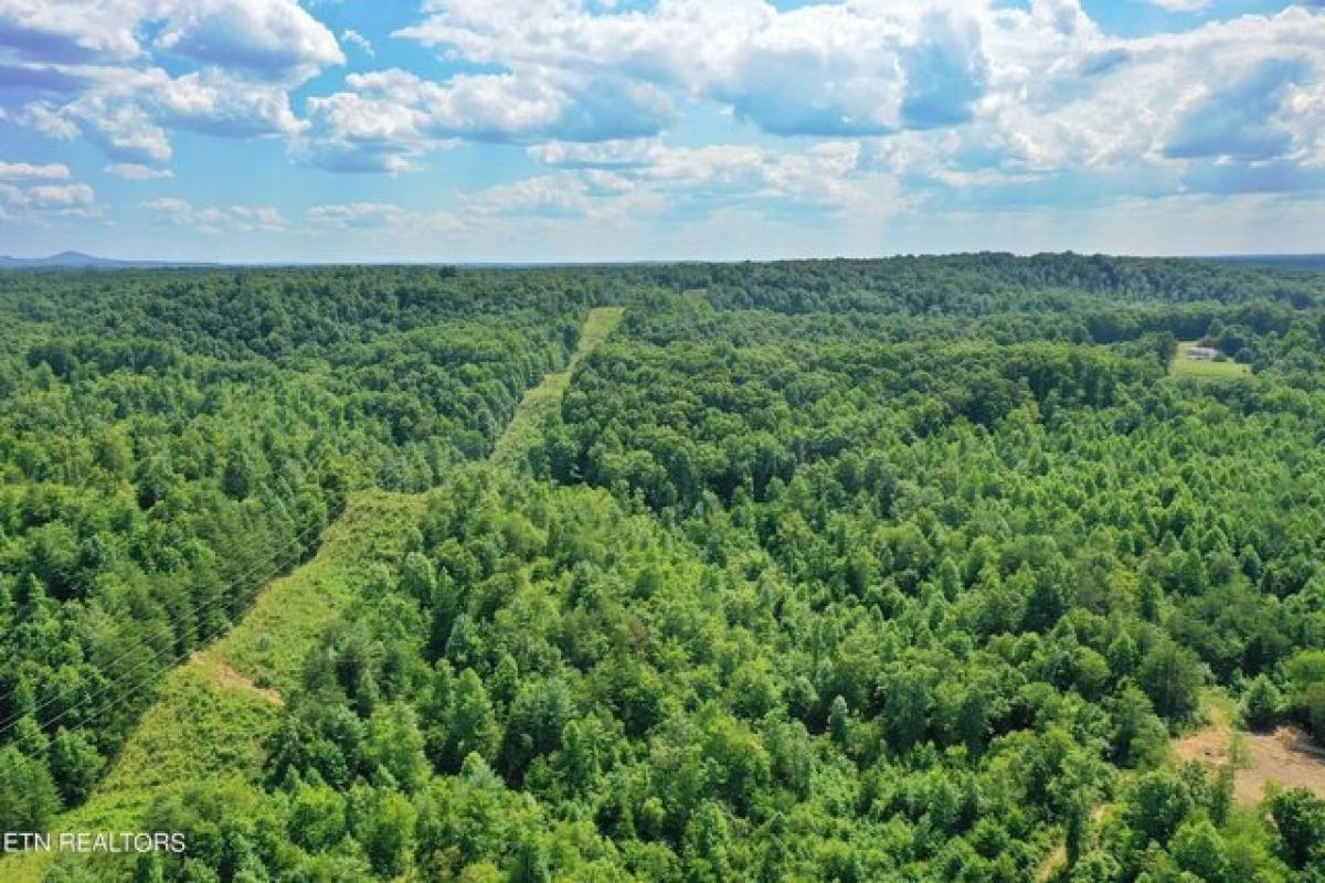 Picture of Residential Land For Sale in Robbins, Tennessee, United States