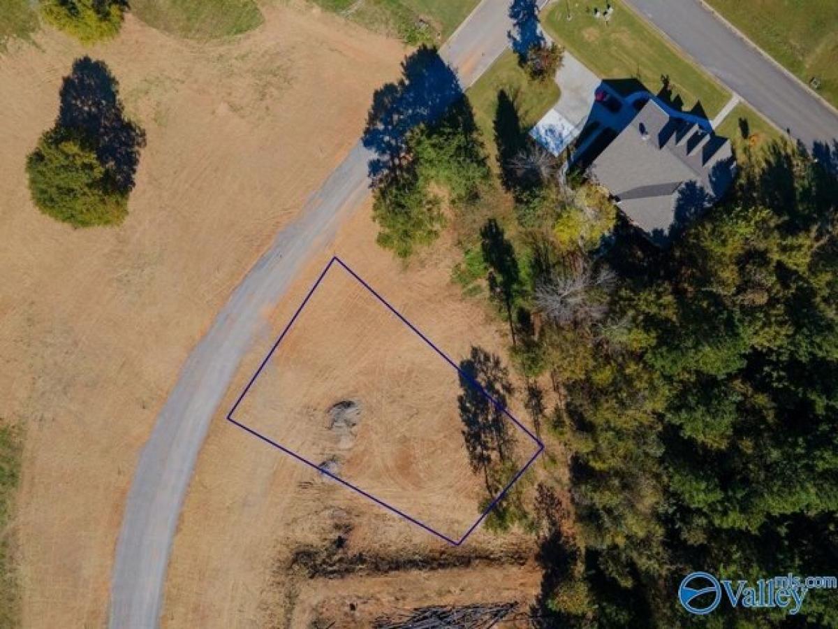 Picture of Residential Land For Sale in Guntersville, Alabama, United States