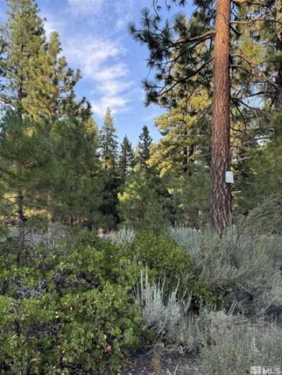 Residential Land For Sale in Reno, Nevada