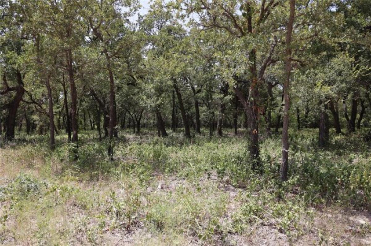 Picture of Residential Land For Sale in Bridgeport, Texas, United States