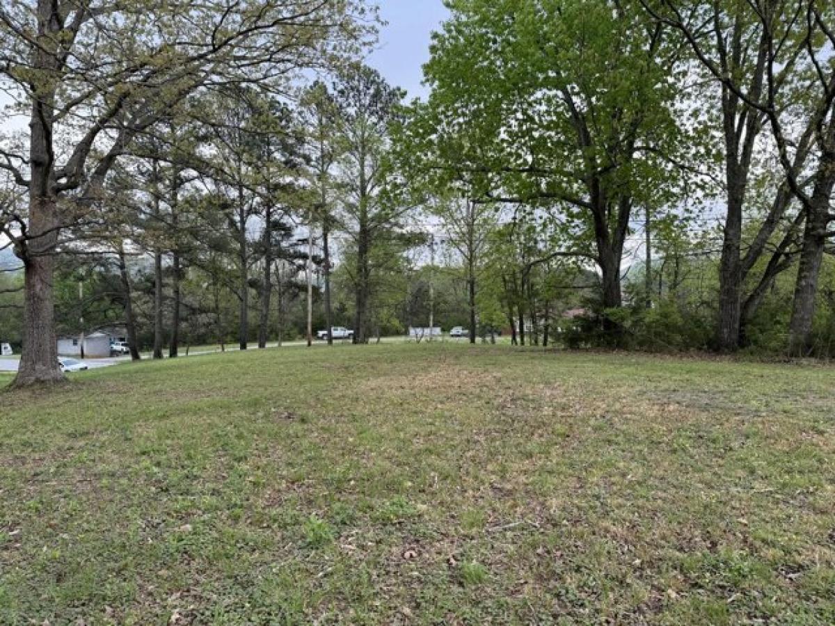 Picture of Residential Land For Sale in Bean Station, Tennessee, United States