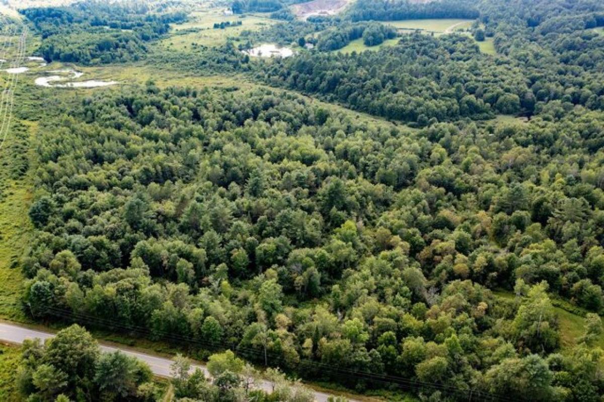 Picture of Residential Land For Sale in Monroe, Maine, United States