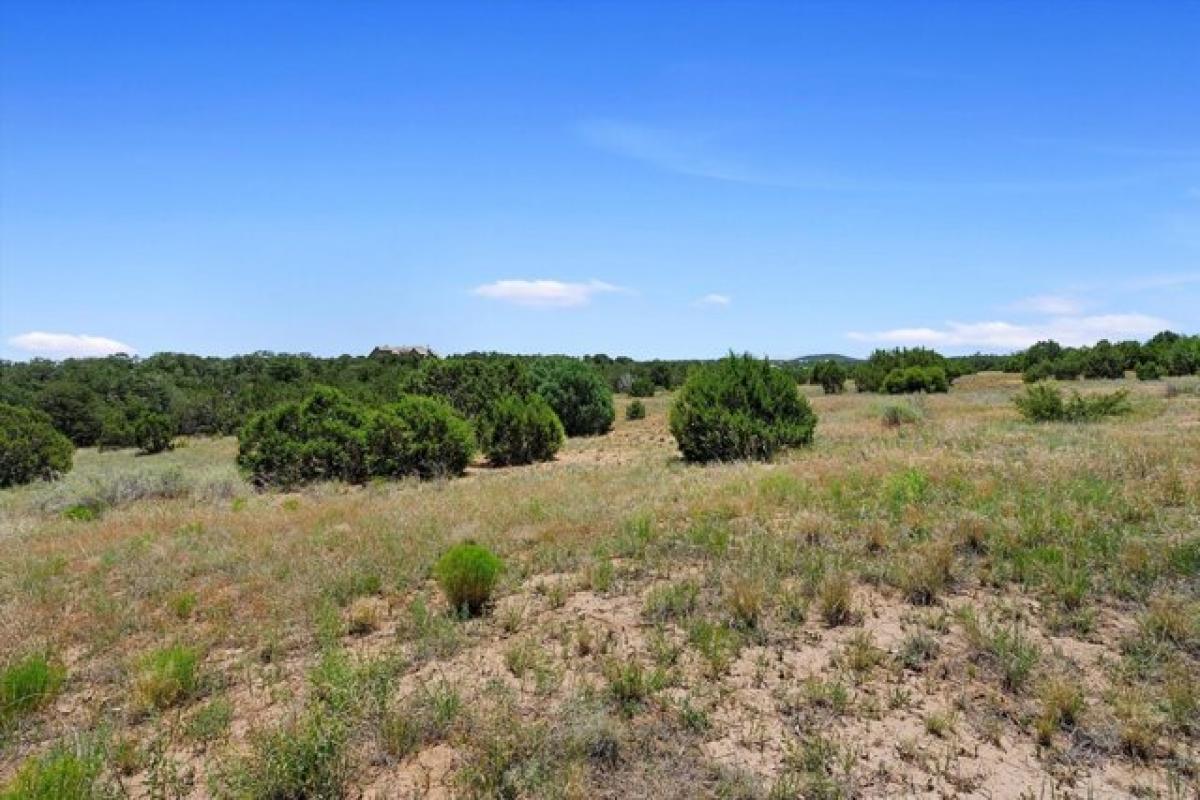 Picture of Residential Land For Sale in Tijeras, New Mexico, United States